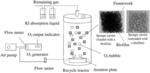 ORGANIC INDUSTRIAL TAILWATER TREATMENT METHOD BASED ON SIMULTANEOUS COMBINATION OF OZONATION AND BIODEGRADATION (SCOB)