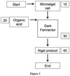 Heterotrophic Production Methods for Microbial Biomass and Bioproducts