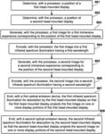 Illumination-based system for distributing immersive experience content in a multi-user environment