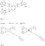 1,4,7,10-tetrazacyclododecane based agents to target bacteria and its use
