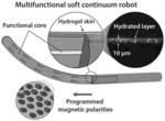 Magnetically steerable continuum robotic guidewires for neurovascular applications