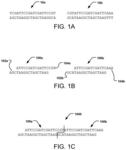 METHODS OF GENE ASSEMBLY AND THEIR USE IN DNA DATA STORAGE