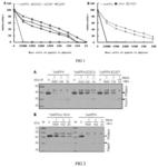 Phytase variants YeAPPA having improved gastric protein resistance and acid resistance, and increased catalytic efficiency