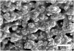 Nanostructured bacteria-resistant polymer materials