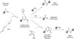 PREPARATION AND/OR FORMULATION OF PROTEINS CROSS-LINKED WITH POLYSACCHARIDES