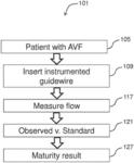 Systems and methods for evaluating hemodialysis arteriovenous fistula maturation