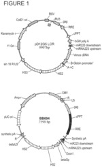 Vectors and compositions for treating hemoglobinopathies