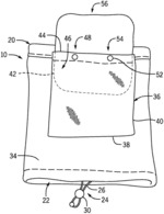 Face Covering With Removable Filtering Element