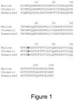 HER2/neu-Specific Antibodies and Methods of Using Same