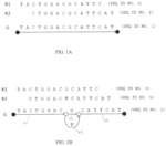 Computer method and system of identifying genomic mutations using graph-based local assembly