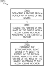 Systems And Method For Estimating Extracorporeal Blood Volume In A Physical Sample