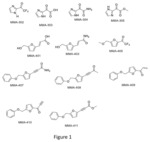 Metabolically stable 5-HMF derivatives for the treatment of hypoxia