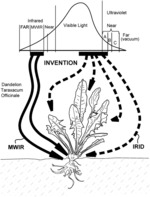Fast plant eradication using aimed unnatural low energy dual component indigo region and medium wavelength