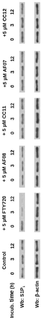 1-phenylpropanone compounds and use thereof