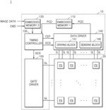 Display driver integrated circuit (DDI) chip and display apparatus