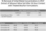 TREATED BIOCHAR FOR USE IN WATER TREATMENT SYSTEMS