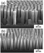 A Process of Integrating Electrically Conductive Nanoparticulate Material into an Electrically Conductive Cross-Linked Polymer Membrane