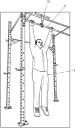 Overhead bar mount exercise training device