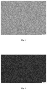 BIO-COMPATIBLE POLYURETHANE MICROCAPSULES AND PROCESS FOR THE PREPARATION THEREOF