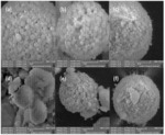 STEAM REFORMING CATALYSTS FOR SUSTAINABLE HYDROGEN PRODUCTION FROM BIOBASED MATERIALS