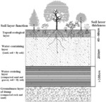 ECOLOGICAL RECONSTRUCTED SPONGE STRUCTURE OF STRIP MINE DUMP AND APPLICATION OF THE SAME