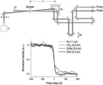 Linear time-gate method and system for ultrashort pulse characterization