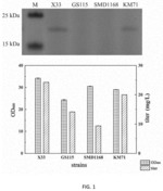 Genetically Engineered Strain for Producing Porcine Myoglobin and Food-grade Fermentation and Purification Thereof