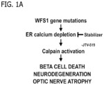 Treatment for Wolfram syndrome and other endoplasmic reticulum stress disorders