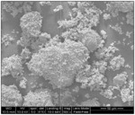 Silver oxide nanoparticle-containing fly ash adsorbent