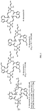 Synthesis of disorazoles and analogs thereof as potent anticancer agents