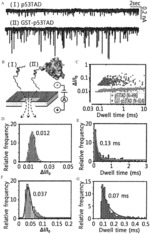 Analysis method of protein-protein interaction and a screening method of protein-protein interaction inhibitors using a nanopore