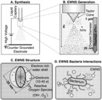 Engineered water nanostructures (EWNS) and uses thereof