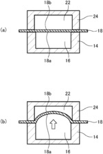 Process for producing shaped film