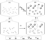 PROCESS FOR PREPARATION OF MONODISPERSE PARTICLES