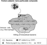 NANO-PARTICULATE COMPOSITIONS FOR STIMULATING HOST INNATE IMMUNE RESPONSES FOR THERAPEUTIC APPLICATIONS