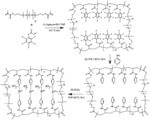 POLYMER CONETWORKS OF POLY(PYRIDINE-(METH)-ACRYLAMIDE) DERIVATIVES- CROSSLINKED BY TRANSITION METAL IONS-AND LINKED BY POLYDIMETHYLSILOXANE DERIVATIVES