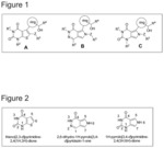 Heterocyclic inhibitors of monocarboxylate transporters