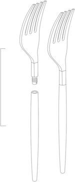 Fork with removable tip