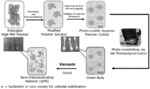 SYNTHESIS AND 3D PRINTING OF PHOTOCURABLE COLLOIDS
