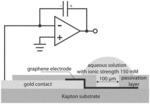 pH Sensing Technique Based On Graphene Electrodes