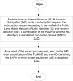 INTERNET PROTOCOL MULTIMEDIA SUBSYSTEM SUPPORT FOR STAND-ALONE NON-PUBLIC NETWORKS