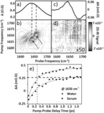 Method of analysing an aqueous fluid using 2D-IR spectroscopy