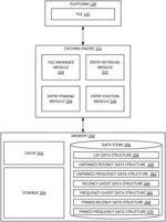 Memory cache entry management with pinned cache entries