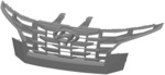 Radiator grill for automobile