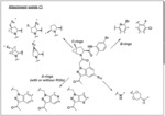 PHARMACEUTICAL COMPOUNDS FOR TREATMENT OF MEDICAL DISORDERS