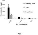 INTRANASAL ADMINISTRATION OF GLUTAMATE CARBOXYPEPTIDASE (GCP-II) INHIBITORS