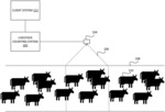 System and method of counting livestock