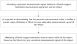 Blood Oxygen Saturation Measurement Method And Apparatus
