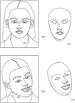 Joint audio-video facial animation system