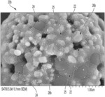 PHOTOACTIVE PIGMENT CLUSTERS FOR DURABLE COATING APPLICATIONS
